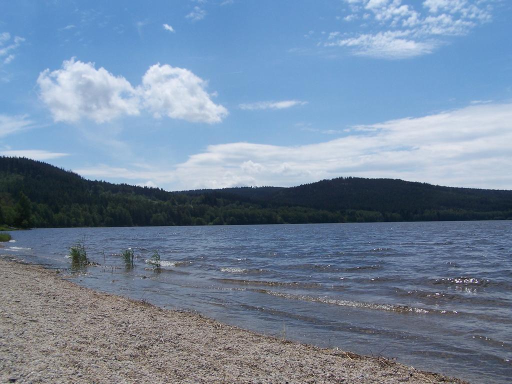 Apartment Lipno Lipno nad Vltavou Exteriör bild